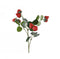 Spray plc d69l3b16h69 cm rood