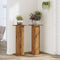 vidaXL - Plantenstandaards - 2 - st - 30x30x80 - cm - hout - artisanaal - eiken