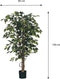Mica Decorations Ficus - Kunstplant H150 x Ø85 cm - Natuurlijke uitstraling - Groen