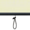vidaXL-Rolgordijn-voor-buiten-140x250-cm-crème