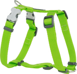 Red Dingo Hondentuig 20mm Neck 36-59cm Body 45-66cm DH-ZZ-LG-20