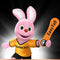 Duracell DA 13 AC - Hoortoestelbatterij - 1.4 volt 290mAh - Oranje