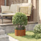 vidaXL - Corten - Stalen - Plantenbak - Corten - staal - Corten - Staal - Middelgroot