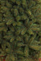 Triumph Tree Franse kunstkerstboom forest frosted - 365x208 groen