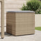 vidaXL - Kussenbox - Beige - 50x50x50 - cm - Poly - Rattan