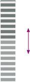 vidaXL - Zebra - rolgordijn - 45x200 - cm - stofbreedte - 40,9 - cm - donkergrijs