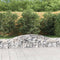 vidaXL - Schanskorven - 5 - st - gewelfd - 400x30x40/60 - cm - ijzer