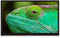 Lenco LED-2463BK (V2) - Android Smart TV - 24