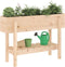 vidaXL - Plantenbak - verhoogd - 101x30x69 - cm - massief - grenenhout
