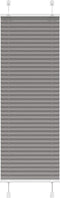 vidaXL - Plissé - rolgordijn - 40x150 - cm - stofbreedte - 39,4 - cm - antraciet