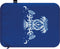 LOQI Laptop Sleeve - Looking Up Large Recycled