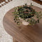 IRIS Walnoten - Ovale Salontafel - 60 x 119 x 40 cm - Okkernoot