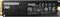 Samsung 980 - Interne SSD - PCIe 3.0 NVMe M.2 - 250 GB