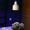 Venso EcoSolutions E27 SAGA lampenkap wit, verbeterde fotosynthese en hogere chlorofylvorming, LED groeilamp, groeilicht voor kamerplanten, groenten, bloemen