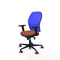 Piqueras y Crespo 2D036G0 - Bureaustoel - Verstelbare hoogte met armleuning - Blauw Bruin
