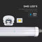 SET - LED buislamp compleet, waterdicht, 150cm, 48W, wit licht, 6500K, 5760lm, IP65, (verpakking van
