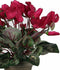 Mica Decorations Cyclaam Kunstplant in Bloempot Stan - H30 x Ø30 cm - Donkerroze