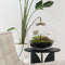 Growing Concepts DIY Duurzaam Ecosysteem Demeter lamp - H38xØ37cm