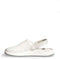 Werkschoenen Active Clog wit, 87021, met gesp, leer, wit, 36 EU
