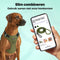 Jake and Jacky Hondentuigje - Anti-Trek Tuig - Y Tuig Hond - Reflecterend - Groen - Maat L