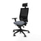 Bureaustoel met hoofdsteun Piqueras y Crespo 3D066G1 Grijs