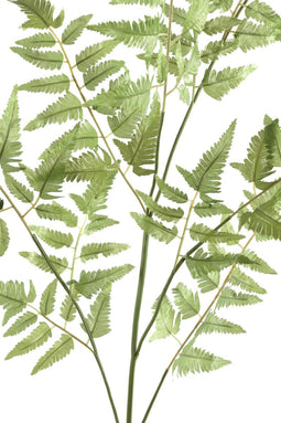 PTMD Fern Plant Varen Kunsttak - 62 x 42 x 154 cm - Groen