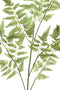 PTMD Fern Plant Varen Kunsttak - 62 x 42 x 154 cm - Groen