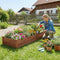 Coast Verhoogde Plantenbak - Houten Moestuinbak 2 Kweekvakken - 228 x 62 x 25 cm - Bruin
