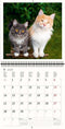 2026 Kalender schrijven 30 x 30 katten - gratis 2025