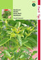 2 stuks - Hortitops - Basilicum Fijne