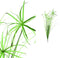PTMD Leaves Plant Cupressus Uiengras Kunsttak - 87x46x126 cm - Groen