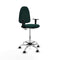 Piqueras y Crespo B1D05RF - Bureaustoel - Hoogteverstelbaar met armleuning - Groen