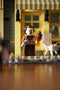 LEGO Harry Potter - De Wegisweg (75978) - 5544 onderdelen - 14 minifiguren