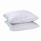 BLANREVE Set van 2 kussens met veren - 60x60 cm