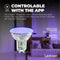 Ledvion - Smart RGB+CCT GU10 LED Spot - Dimbaar - 4,9W - 345L - Wifi - Alexa & Google Home