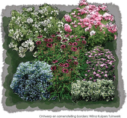 1m2 Kleurrijke struikjesborder 2e