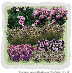 1m2 Najaarsborder roze tinten 4d