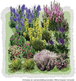 1m2 Wilde planten 6c