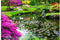 Customize it - Tuindoek japanse tuin 210x140cm
