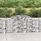 vidaXL - Schanskorven - 2 - st - gewelfd - 300x30x100/120 - cm - ijzer