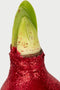 Plant in a Box - Amaryllis - Hippeastrum 'Glitter Red' - Bloembol - Rode bloemen