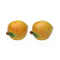 Peper- en Zoutvat Versa Keramisch Dolomite Citroen 5,2 X 7,2 X 5,6 CM