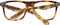 Unisex' Spectacle frame Sandro Paris SD1003 52201