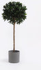 Mica Decorations Era Bloempot - 26x28 cm - Keramiek - Grijs - 2 Stuks