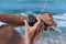 Samsung Galaxy Watch Ultra - Smartwatch - GPS - Zilver