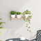 vidaXL - Wandrek - 62x10x12,5 - cm - Massief - Hout - Notenhout
