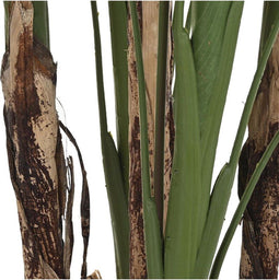Decoratieve plant DKD Home Decor (90 x 90 x 200 cm)