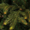 Black Box Trees Frasier Kunstkerstboom met LED verlichting - H230 cm - groen