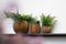 Capi Europe - Bloempot bol Groove Black & Gold - 9x8 - Zwart - Opening Ø7.2 - Bloempot voor binnen - 5 jaar garantie - BGVBL139