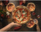 AEG TX7PB631SB - Inbouwoven - PizzaExpert 340°C - Gietijzeren bakplaat